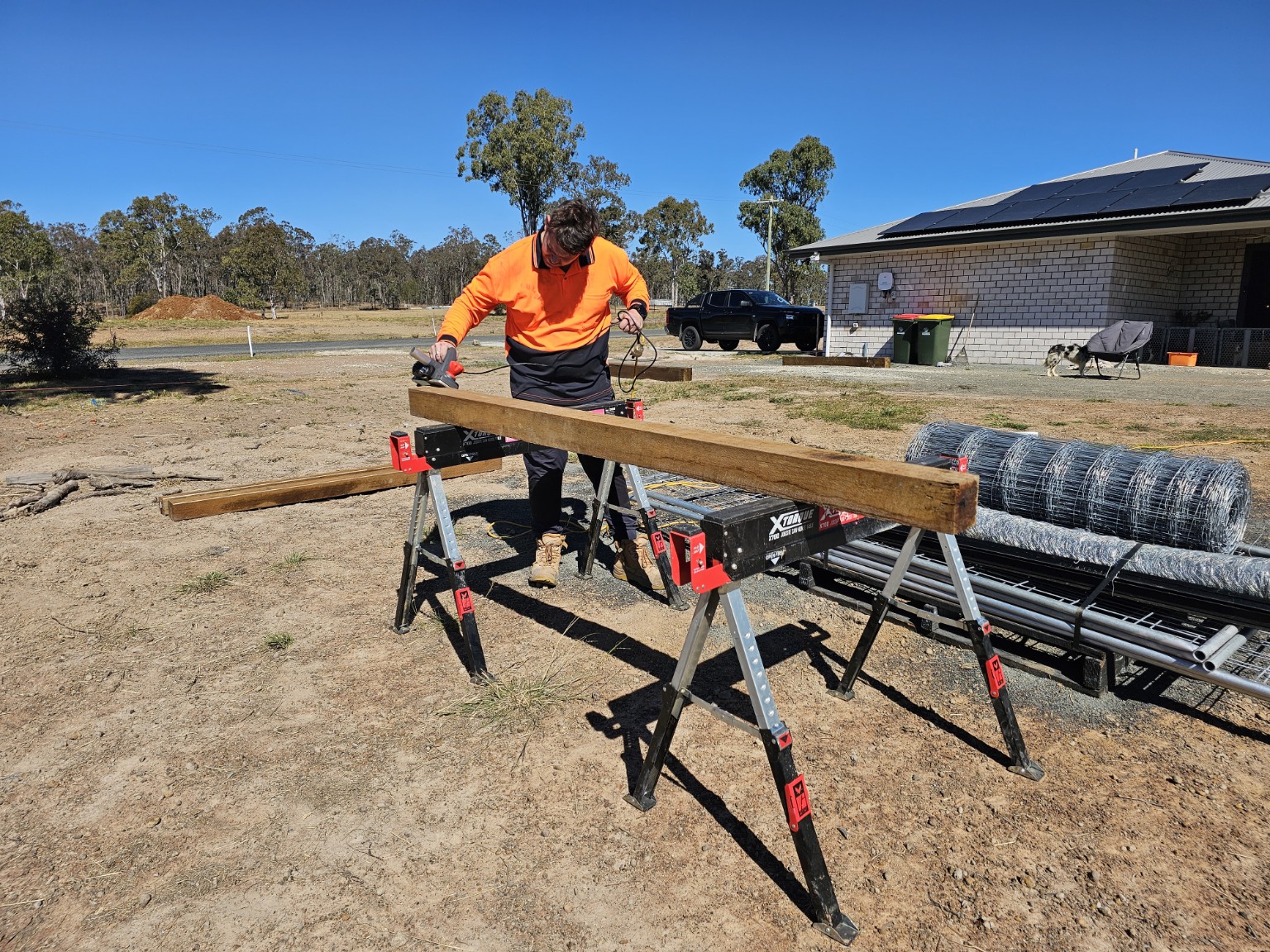Blissful team member preparing timber for fencing